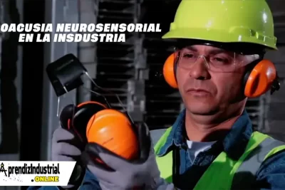 HIPOACUSIA NEUROSENSORIAL EN LA INSDUSTRIA 5 HIPOACUSIA NEUROSENSORIAL EN LA INSDUSTRIA