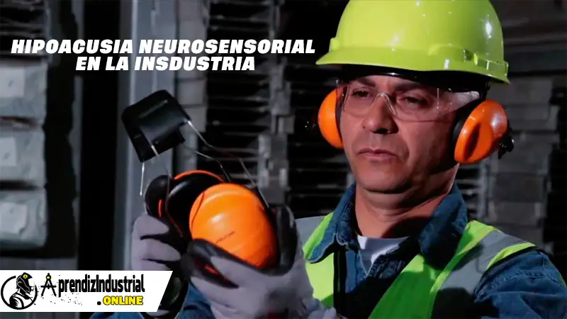 HIPOACUSIA NEUROSENSORIAL EN LA INSDUSTRIA 2 HIPOACUSIA NEUROSENSORIAL EN LA INSDUSTRIA